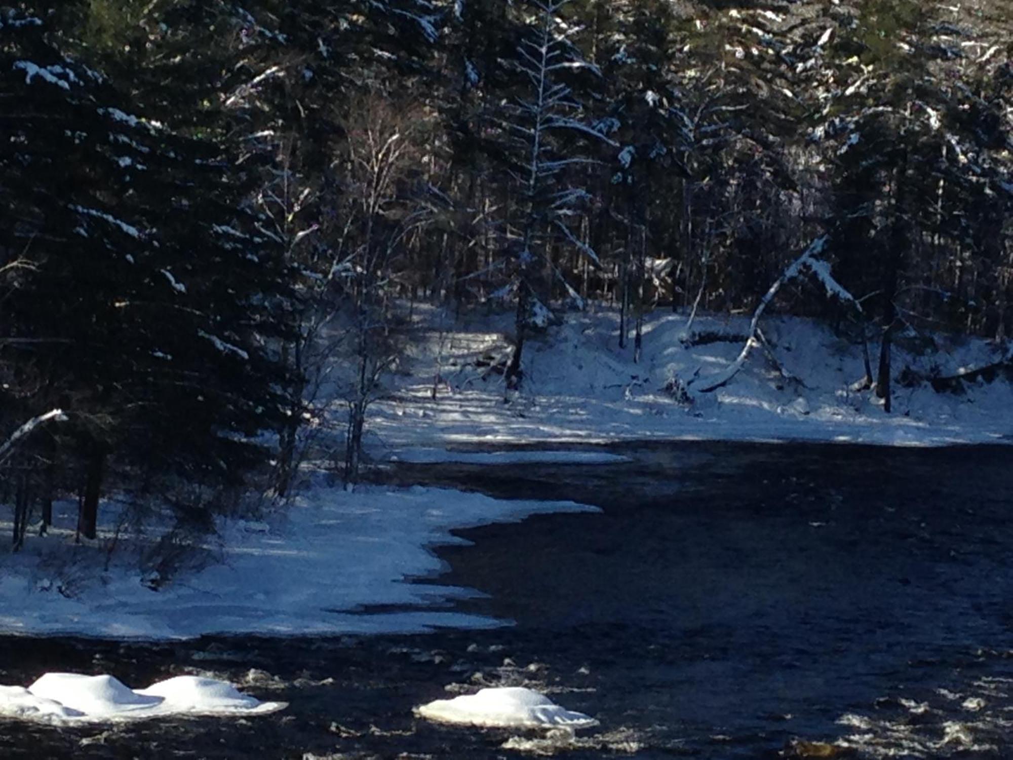 Petawawa River Inn&Suites Bagian luar foto